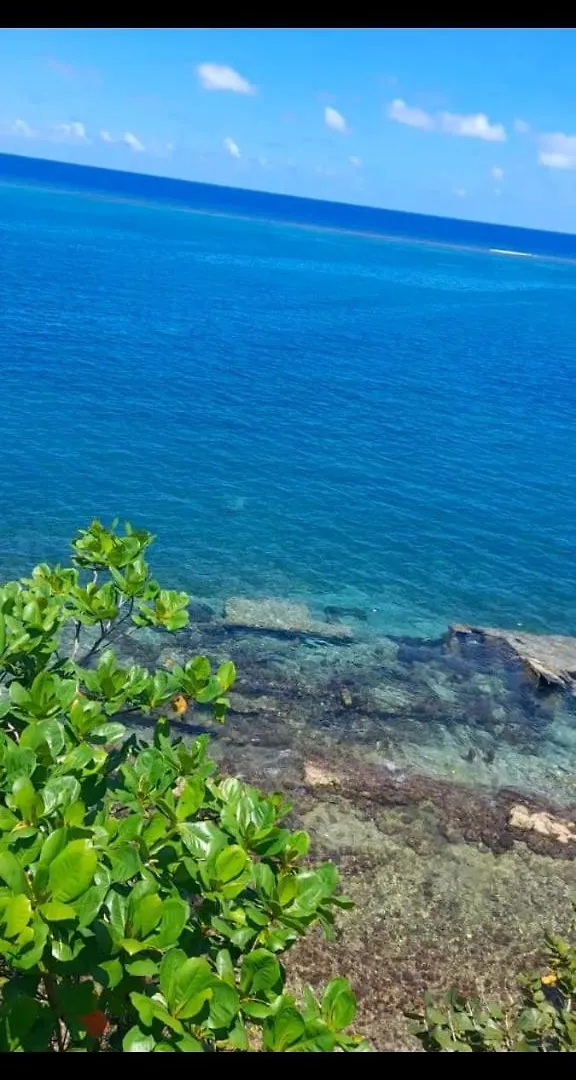 公寓 Seascape Retreat - 2 Bedroom Beachfront Near Ocho Rios And Airport Tower Isle 牙买加